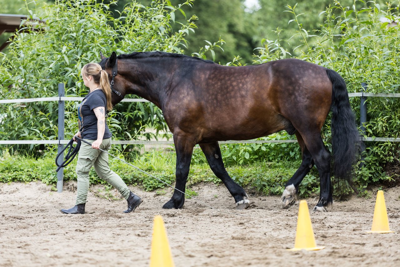 Bild 18 - Vivi